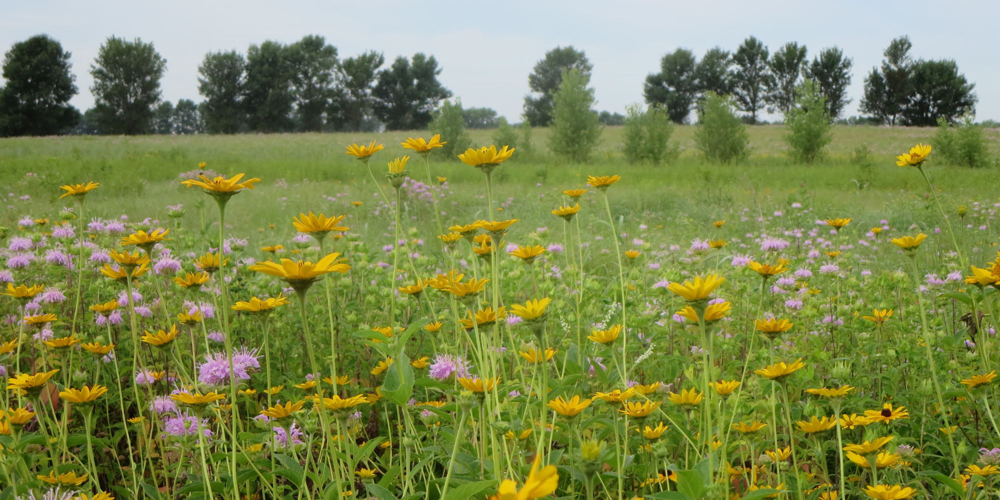 Block background image